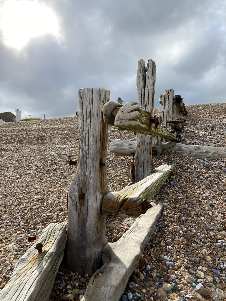 fence on beach